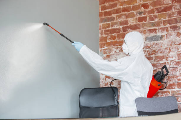 Mold Documentation for Insurance Claims in Citrus Hills, FL