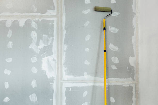 Best Mold Removal for HVAC Installations  in Citrus Hills, FL