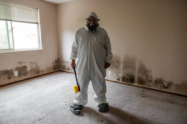 Mold Remediation for Vacation Homes in Citrus Hills, FL