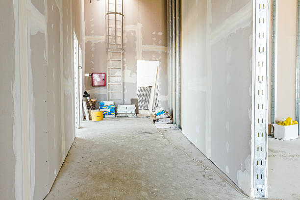 Best Crawl Space Mold Remediation  in Citrus Hills, FL