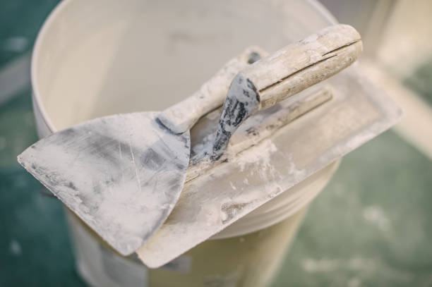 Best Attic Mold Removal  in Citrus Hills, FL